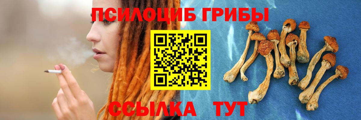 купить наркотики сайты  Галлюциногенные грибы GOLDEN TEACHER  Ликино-Дулёво  Вход с VPN  Псилоцибиновые грибы Psilocybine cubensis 